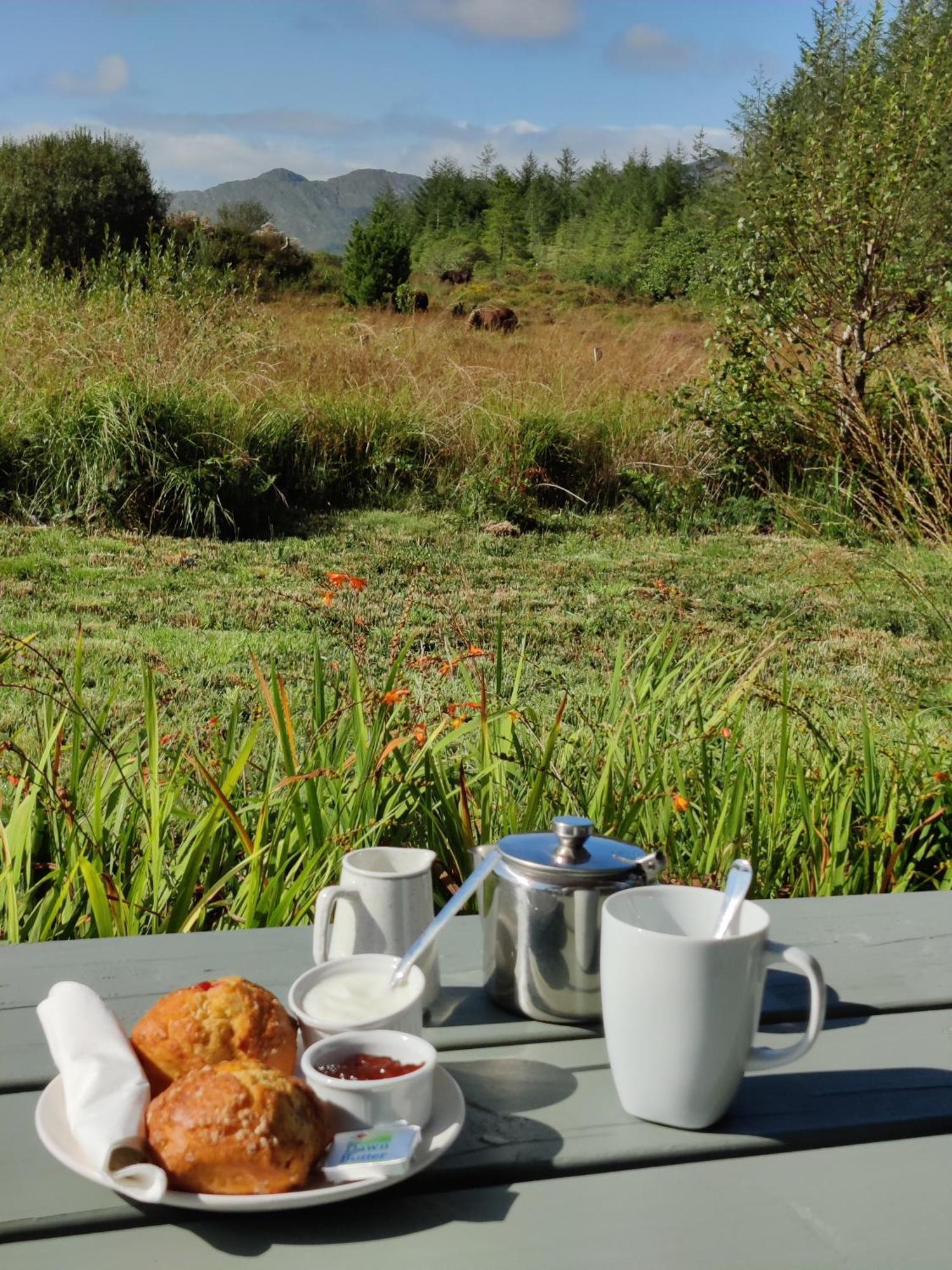 álaind Lodges, * Sneem